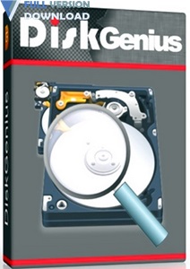 DiskGenius Professional v5.1.0.653