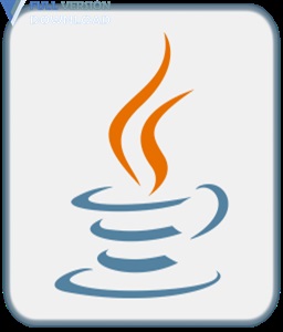 Java SE Runtime Environment (JRE) v11.0.2