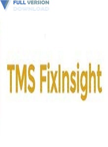 TMS FixInsight v2019.01