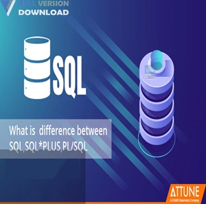 SQL DXP Premium v6.5.5.170